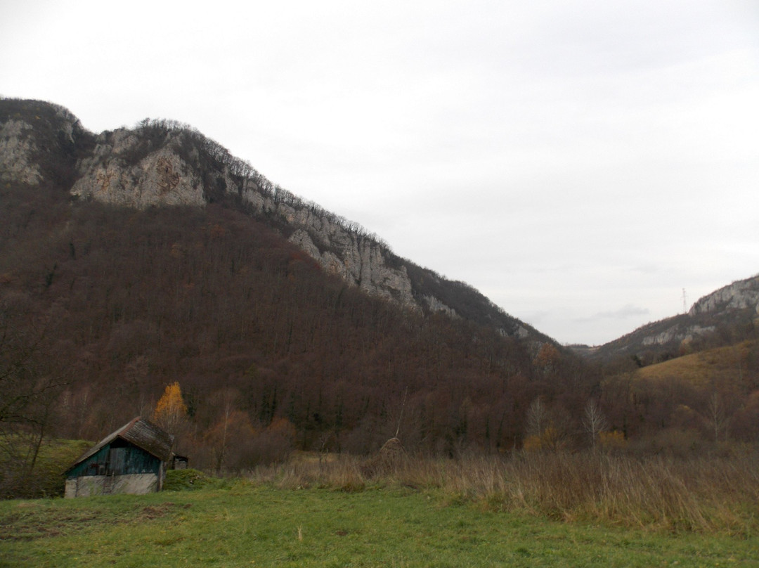 Semenic-Cheile Carașului National Park景点图片