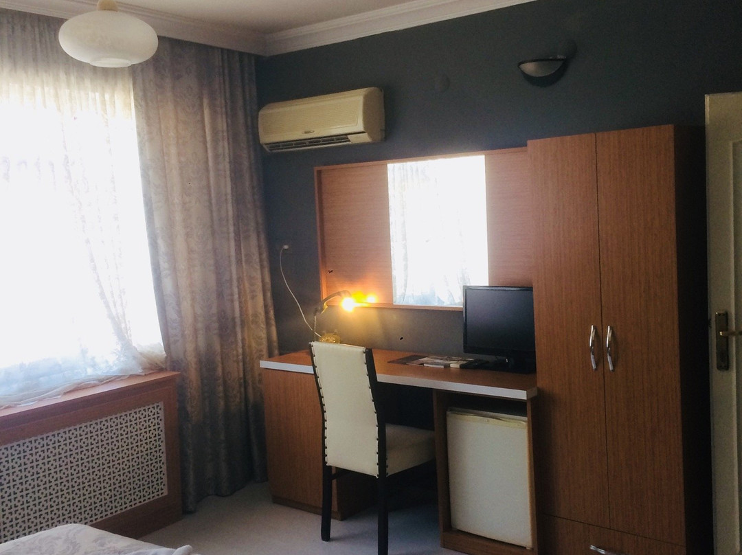 Grand Desi Hotel主图