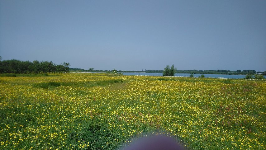 Haarrijnseplas-乌特勒支必去景点