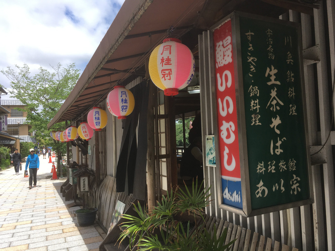 鲇宗主图