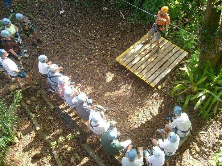 Corcovado Canopy Tour景点图片