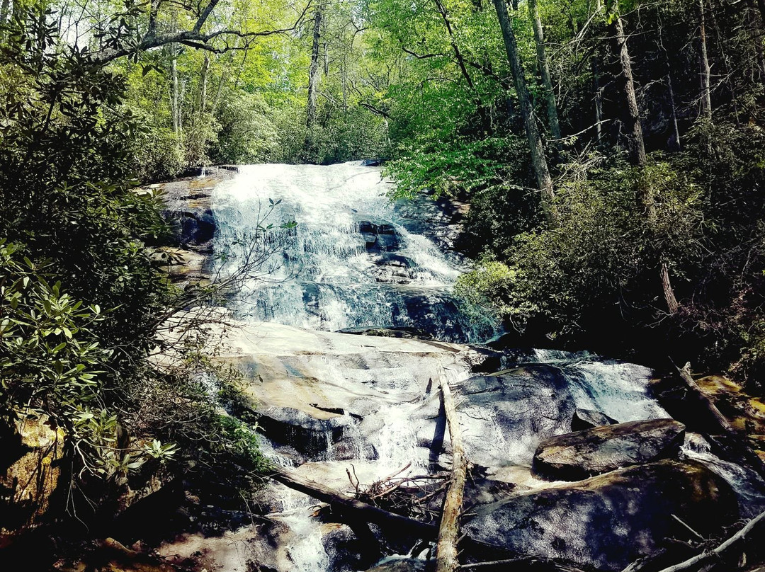 Cove Creek Falls景点图片