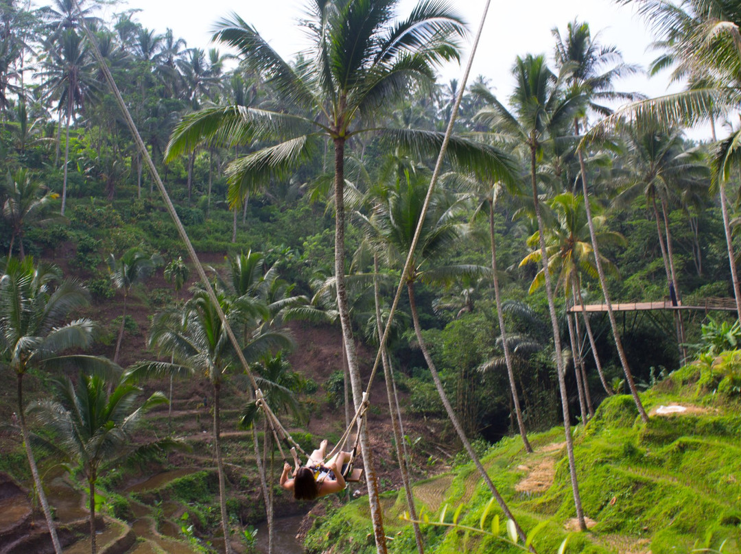 Bali Exclusive Experience景点图片