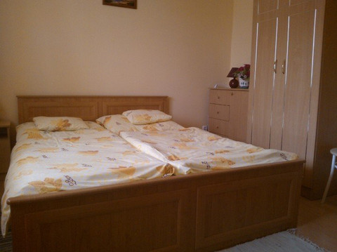 Erika Vendeghaz主图