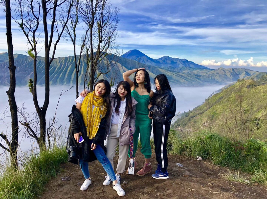 Ijen Bondowoso Homestay主图