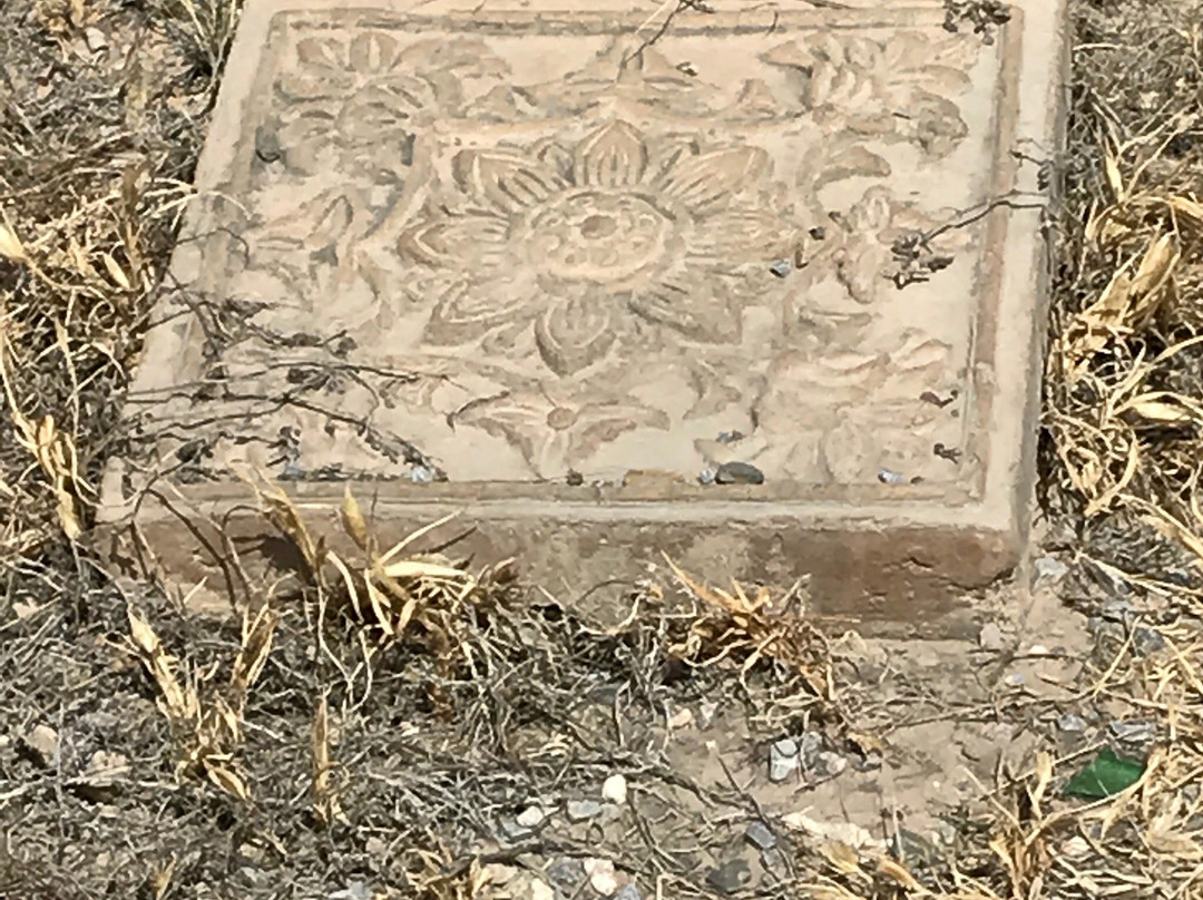 西夏公园-银川市必去景点