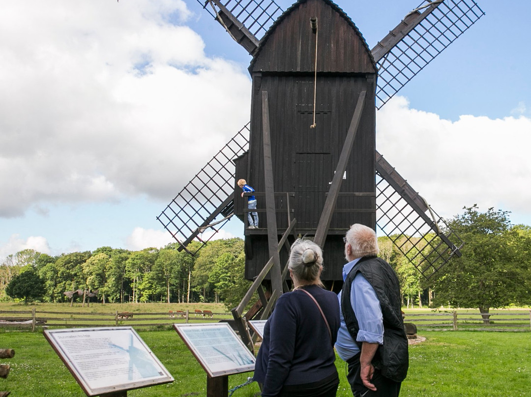 De gamle Huse - Frilandsmuseet景点图片