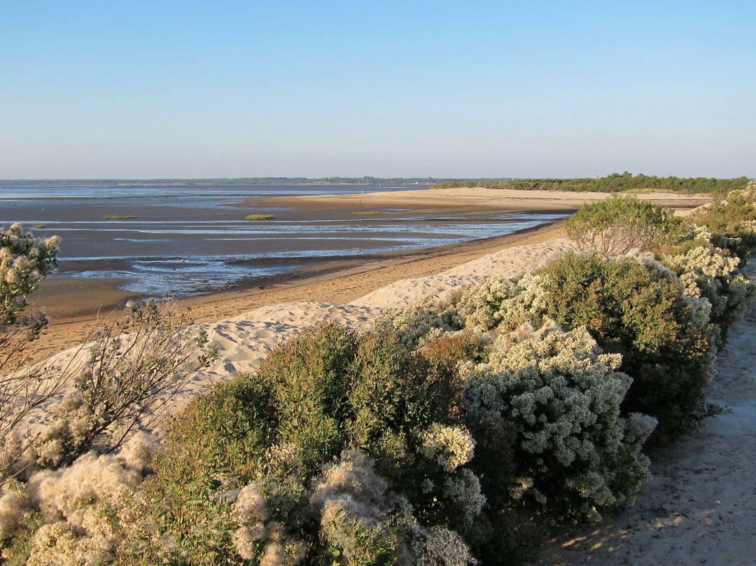 Parc naturel régional des Landes de Gascogne景点图片