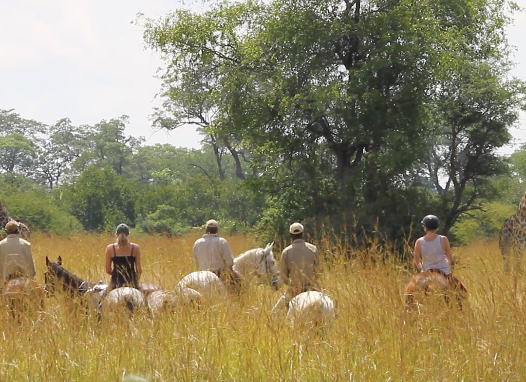 Hwange Horseback Safaris景点图片