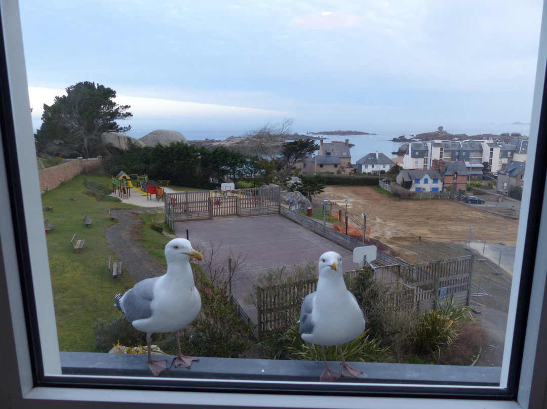 Belambra Clubs - Le Castel Sainte Anne主图