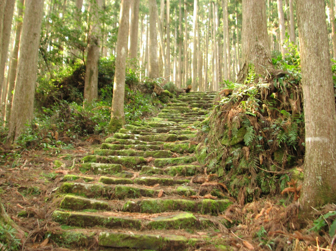 Kumano Kodo景点图片