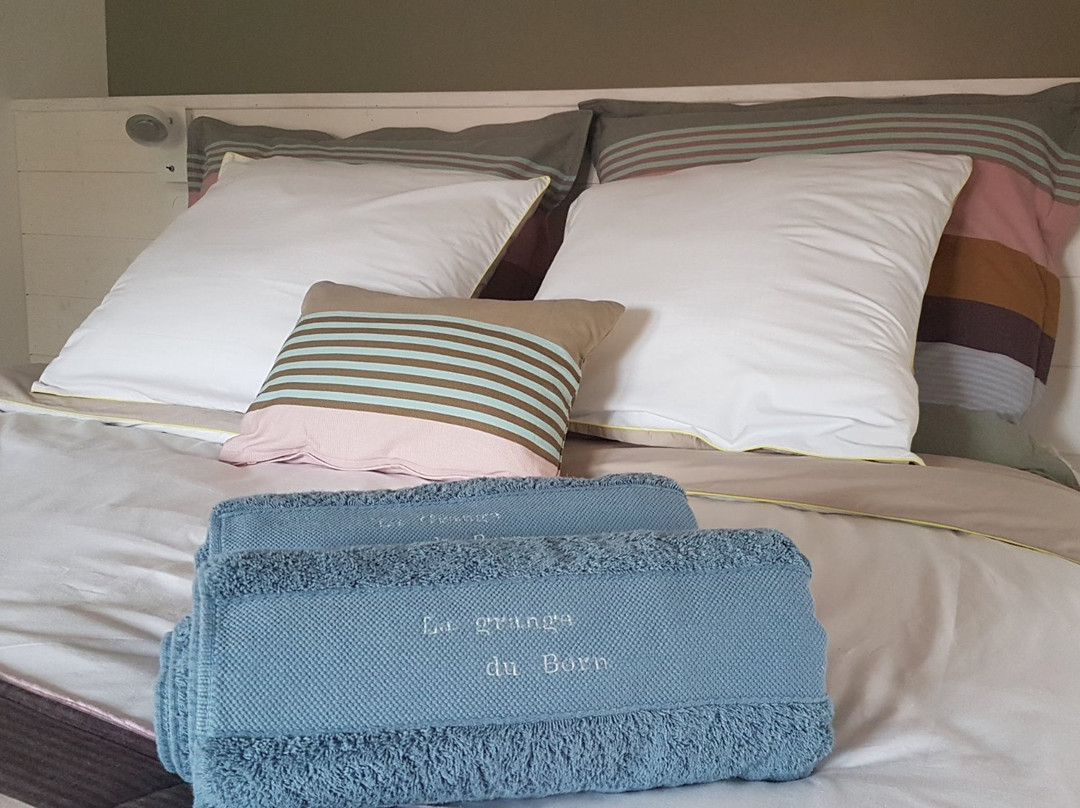 La Grange du Born主图