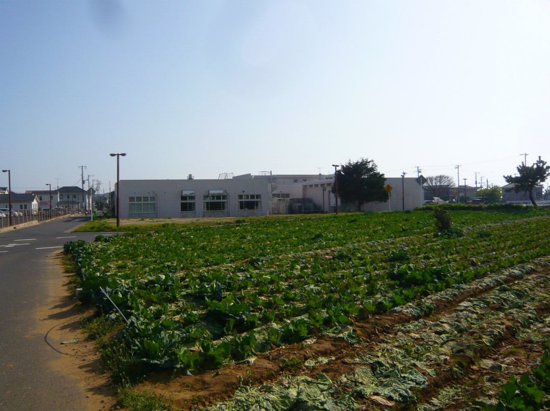 Choshi City Center-铫子市必去景点