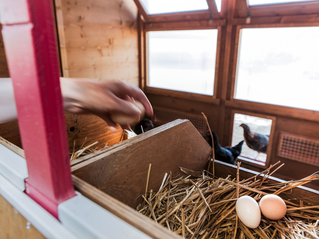 The Borgo Cooking School-丘斯迪诺必去景点