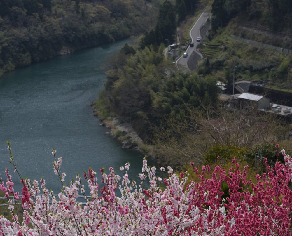 Hananosato Park-仁淀川町必去景点