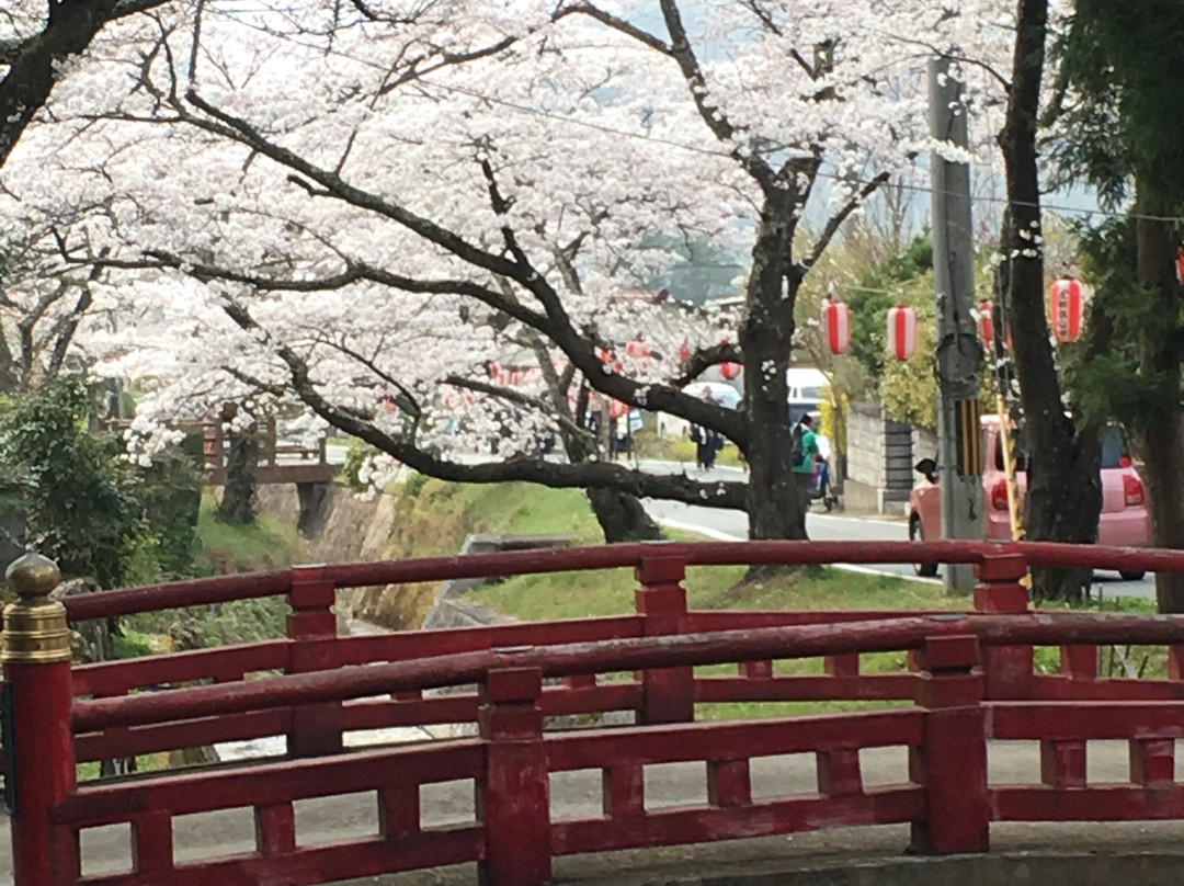 Miwakare Park-丹波市必去景点