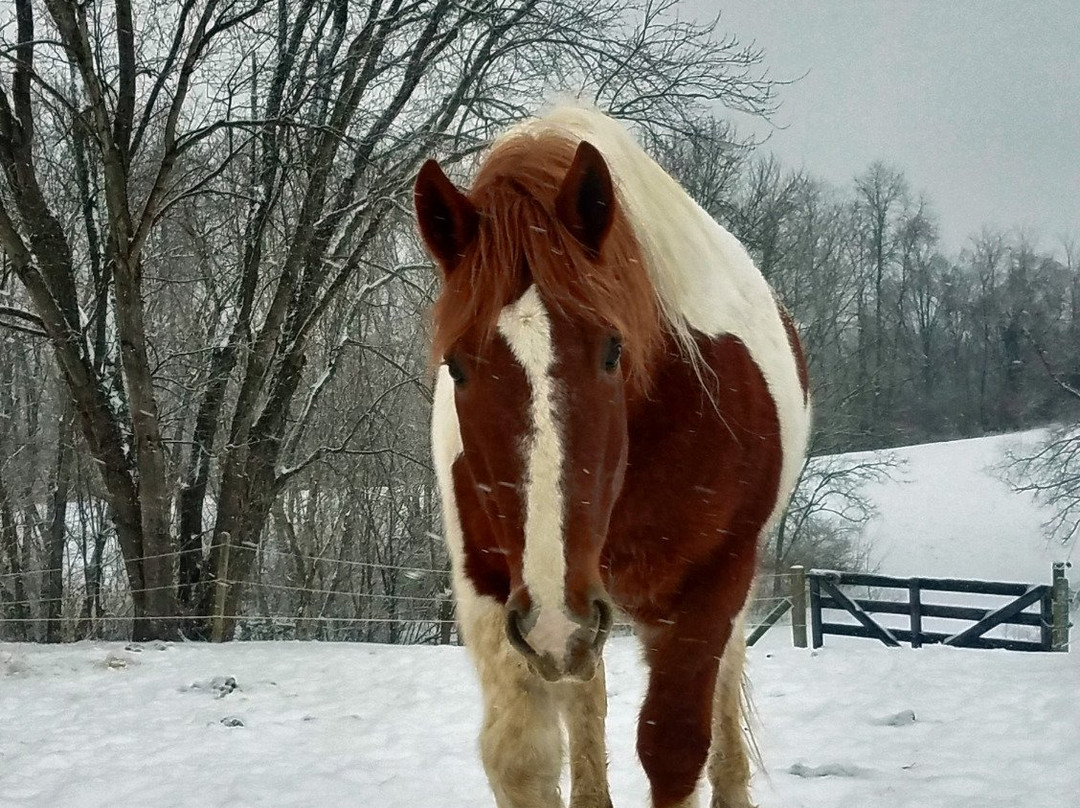 First Farm Inn主图