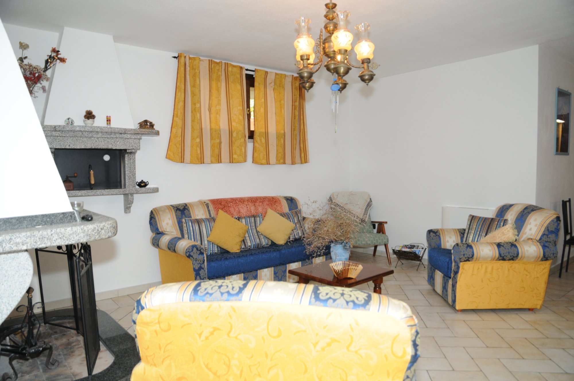 B&B Ada-官方