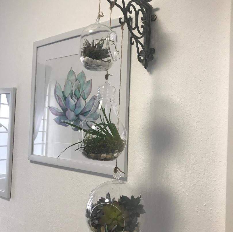 Milly's Touch B & B Studio主图