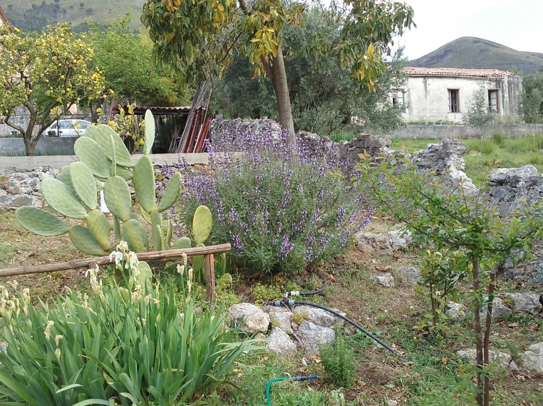 Il Giardino Di Julia B&B主图