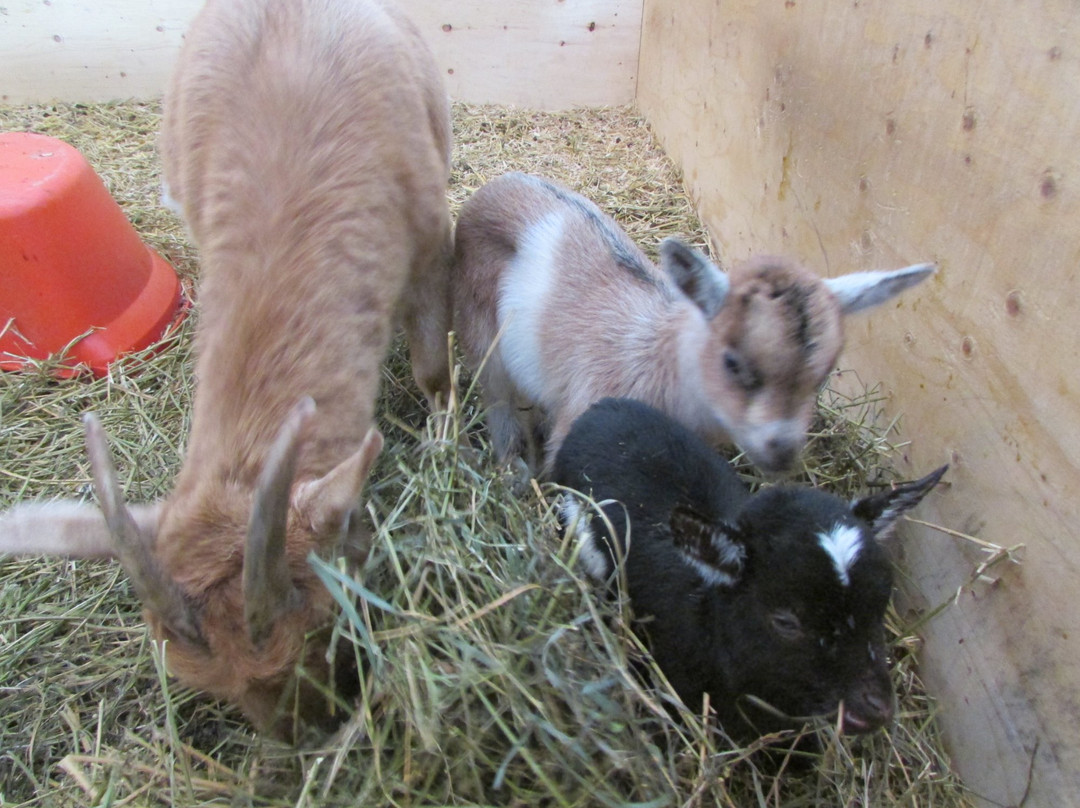 Round The Bend Farm-Kettleby必去景点