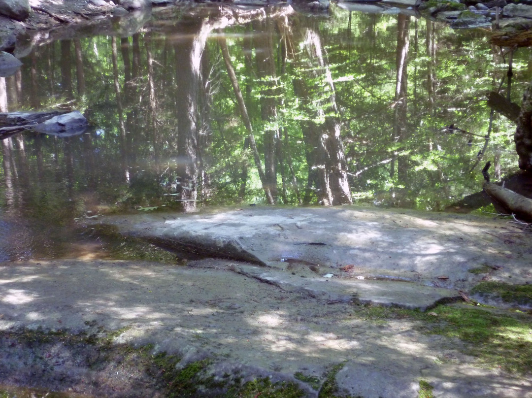 Pratt's Brook Park-Yarmouth必去景点