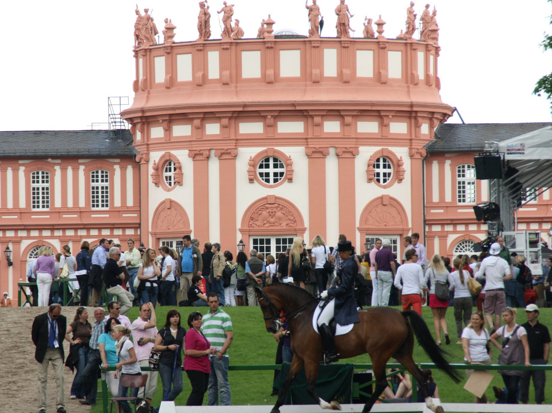 Biebricher Schlosspark-威斯巴登必去景点