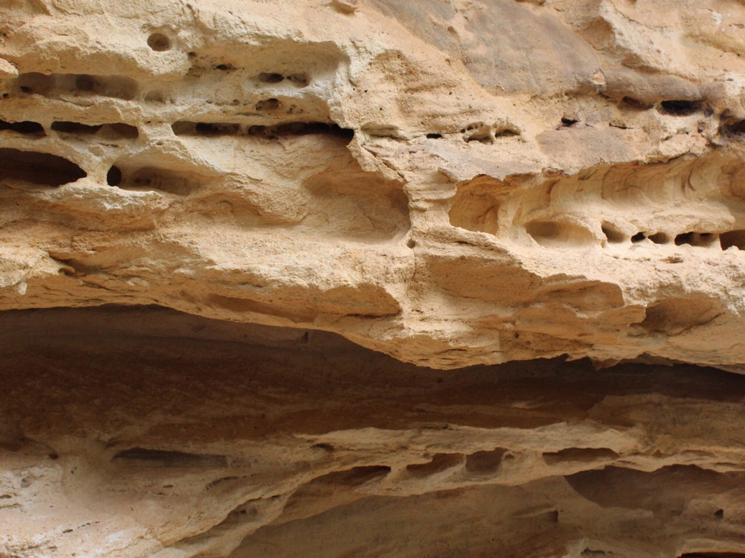 Wolgan Valley Eco Tours-Wolgan Valley必去景点