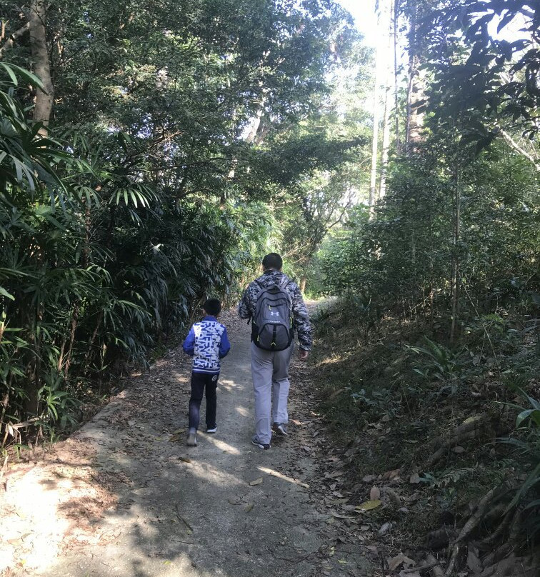 兴隆热带花园-万宁市必去景点