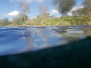 Mzima Springs景点图片