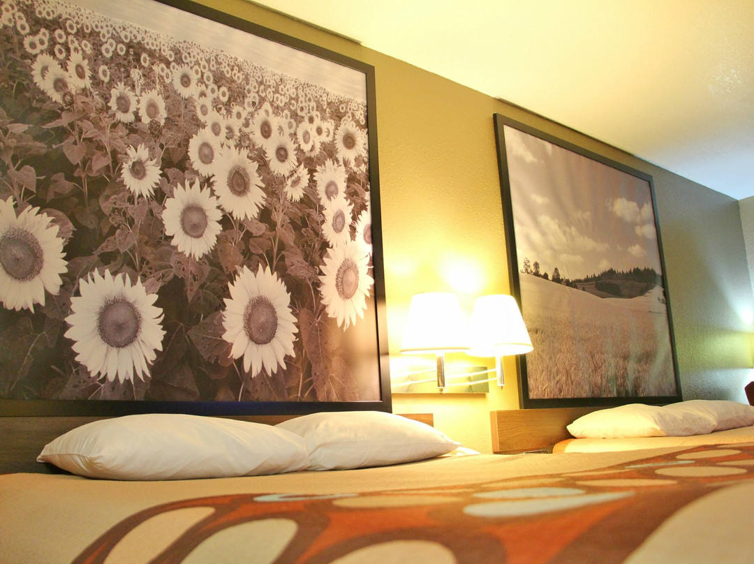 Super 8 by Wyndham Ottawa主图