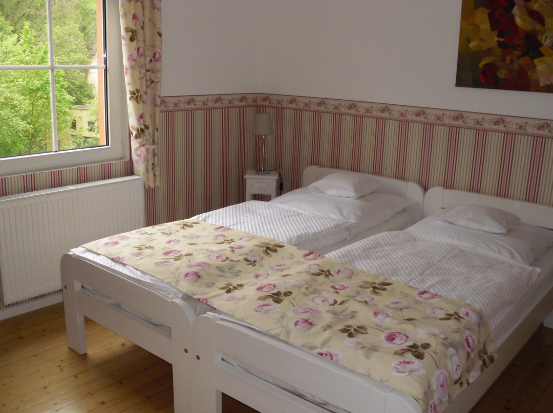 Boutique-Hotel Jungenwald主图