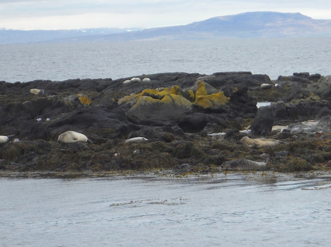 Svalbard Seal Watching Site-Vatnsnes必去景点