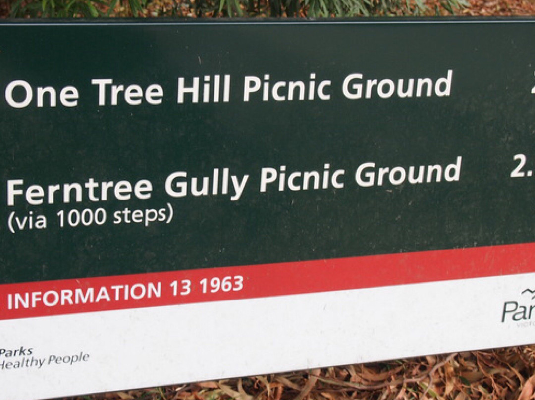 One Tree Hill Picnic Ground景点图片