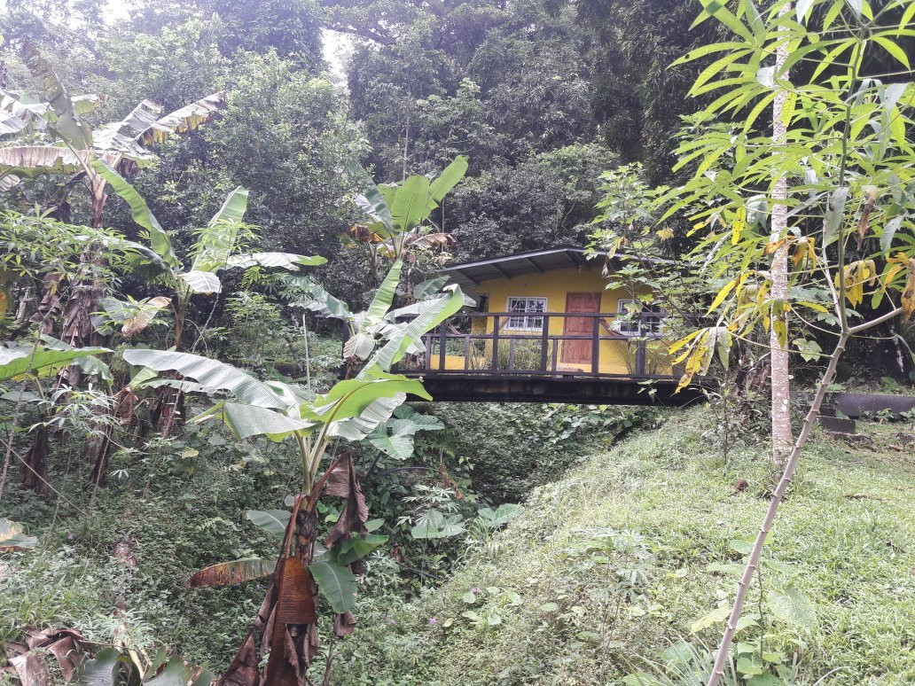 Centro el Tucan