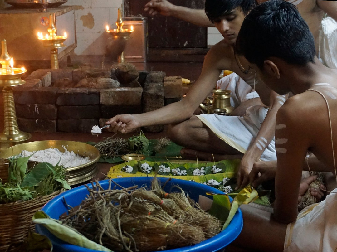 Sri Nellikattu Bagavathi temple景点图片