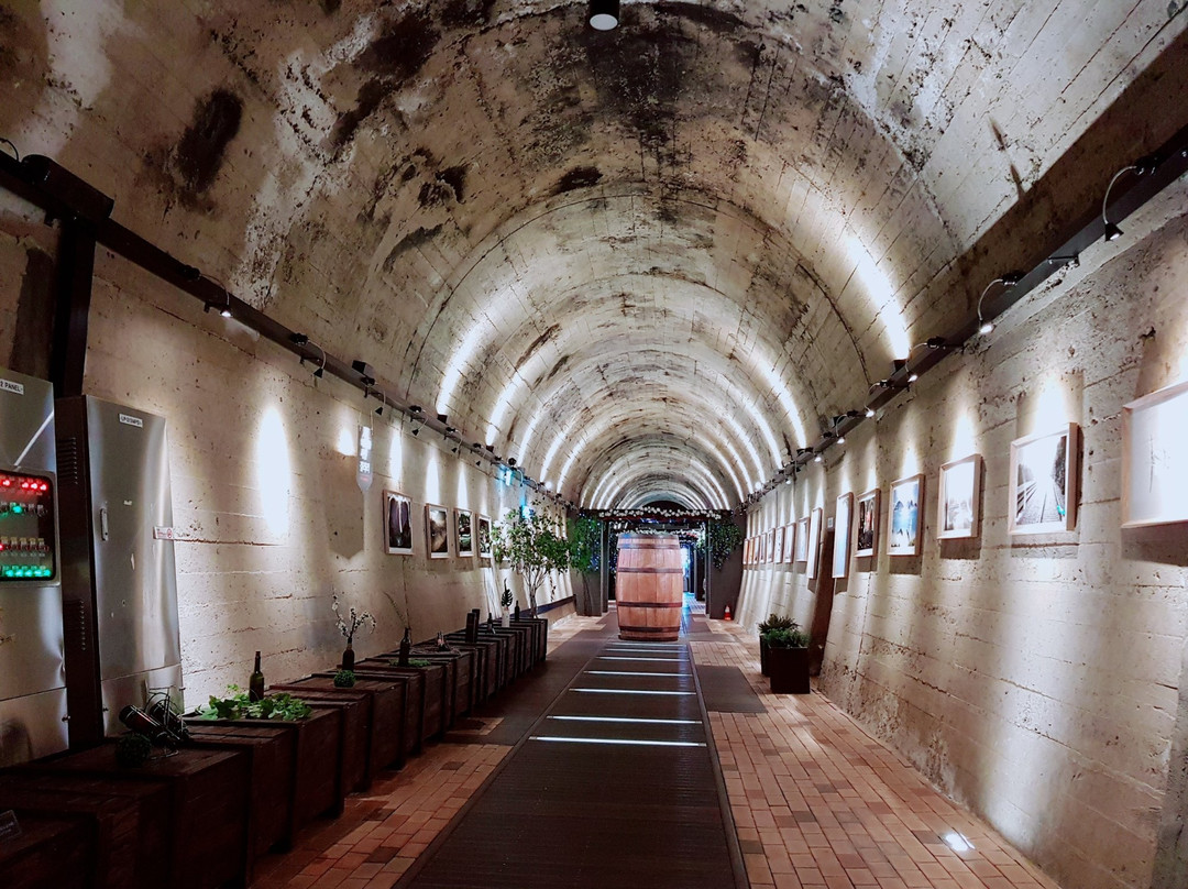 Gimhae Nakdong-gang Railpark-金海市必去景点