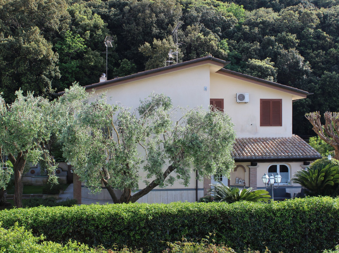 B&B Cavalieri