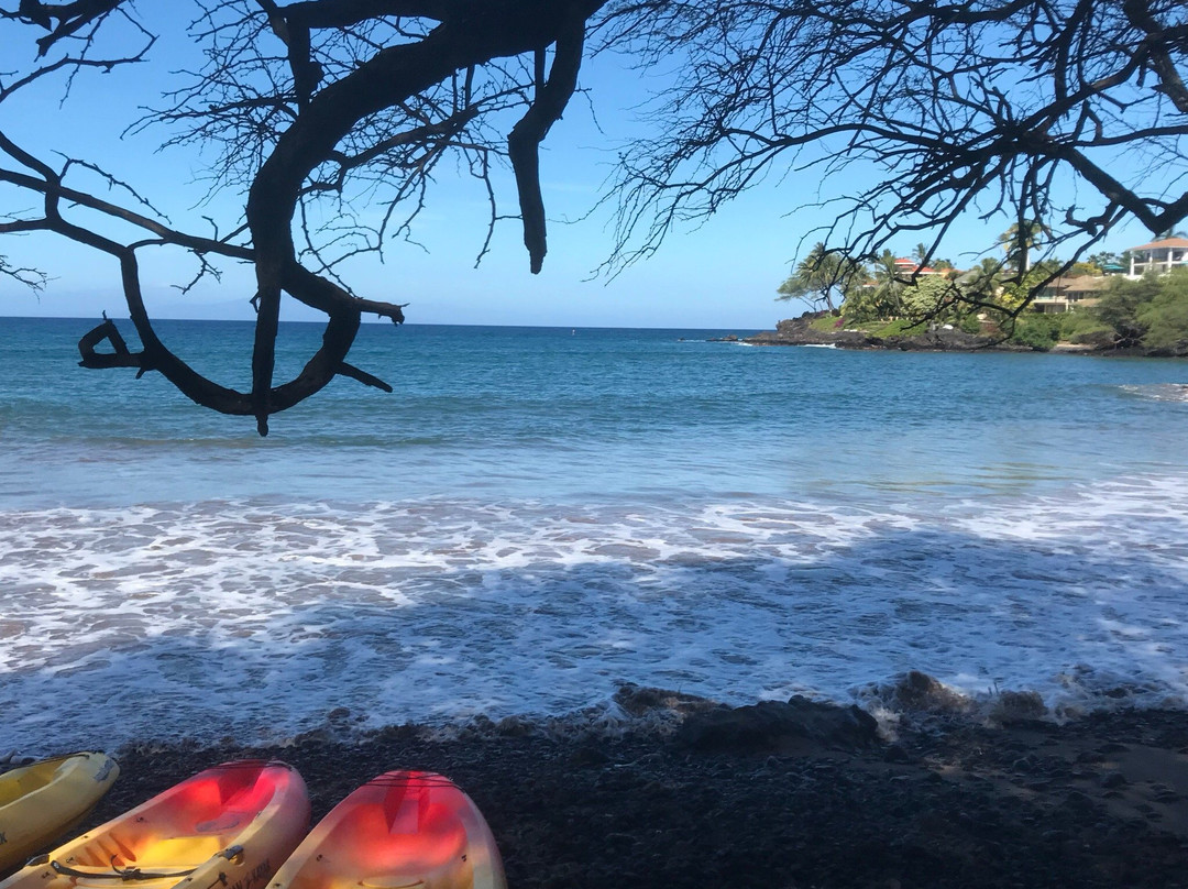 HangLoose Maui Ocean Adventures-Makena必去景点