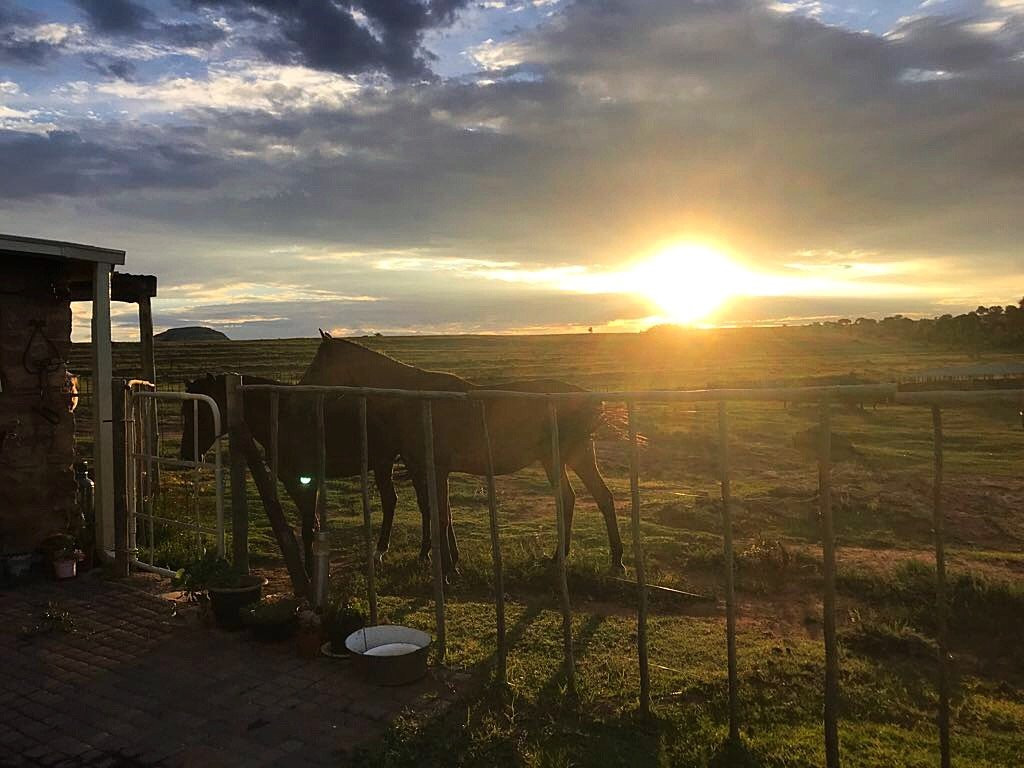 Ventersberg Stables-Fouriesburg必去景点