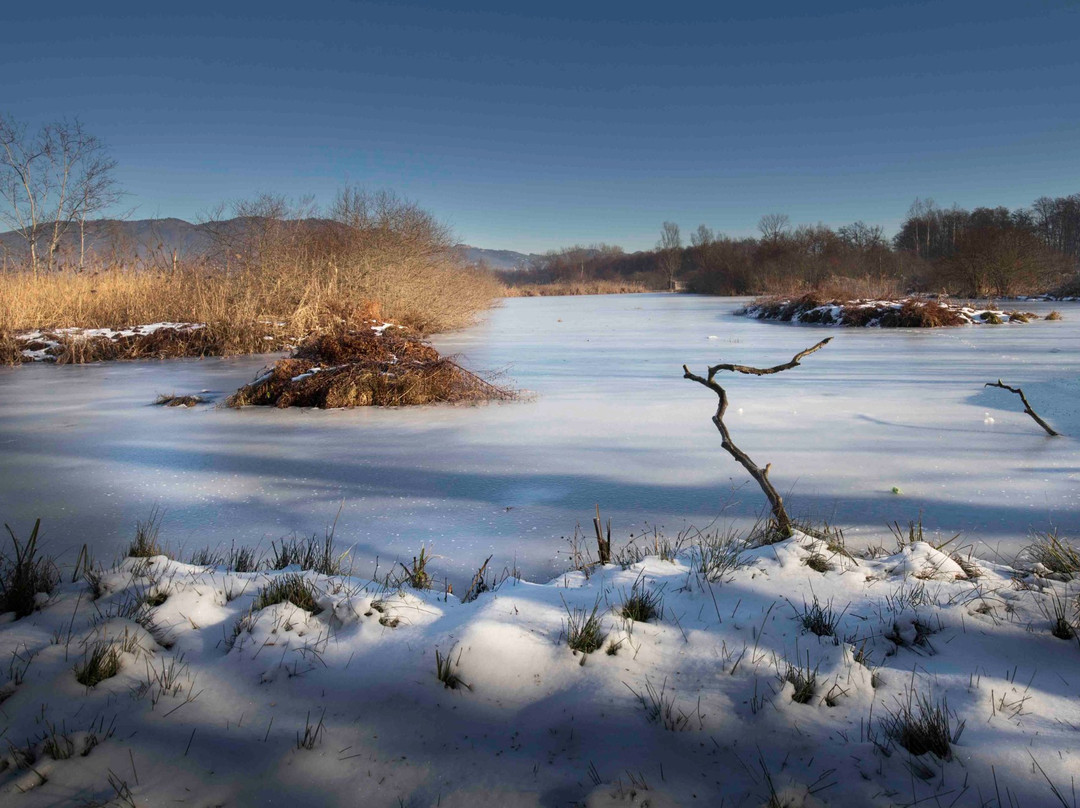 Inarzo旅游攻略图片