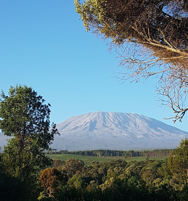 Kilimanjaro Resort Loitokitok主图