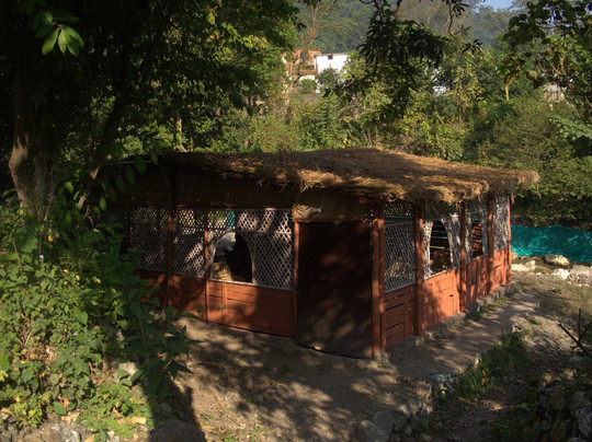 Mountain FOX Adventure-里希克虚必去景点