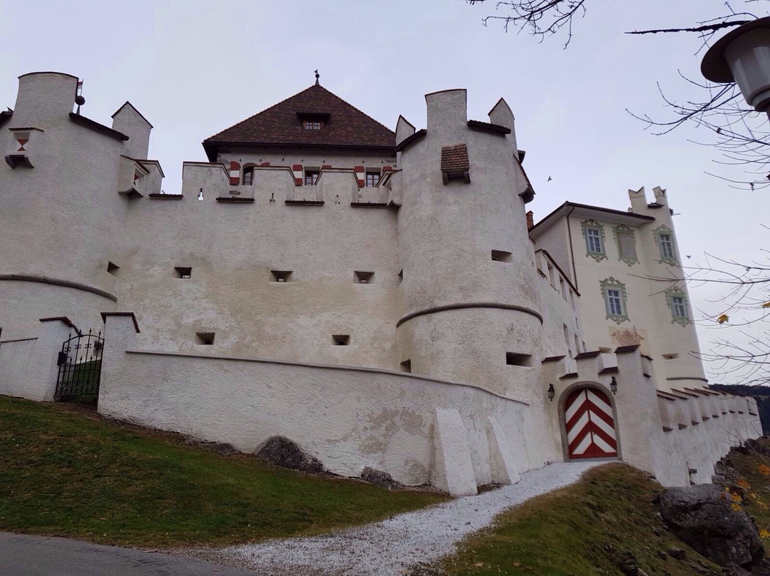 Castello di Casteldarne景点图片