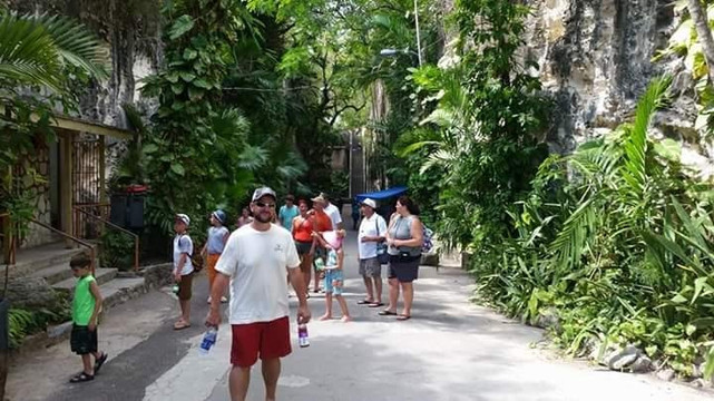 Marvelous Tours-拿骚必去景点