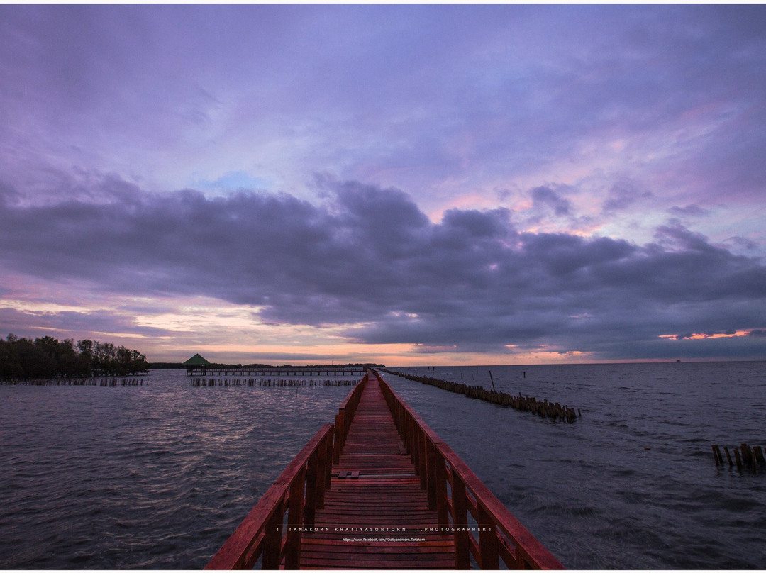 Dolphin Viewpoint-龙仔厝必去景点
