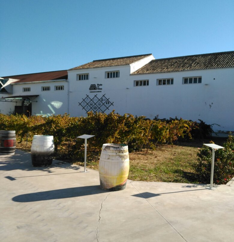 Centro del Vino Condado de Huelva景点图片