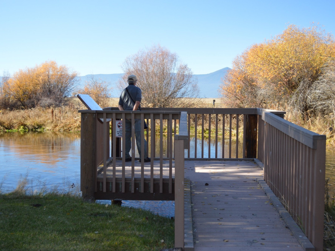 Klamath Fish Hatchery-克拉马斯福尔斯必去景点