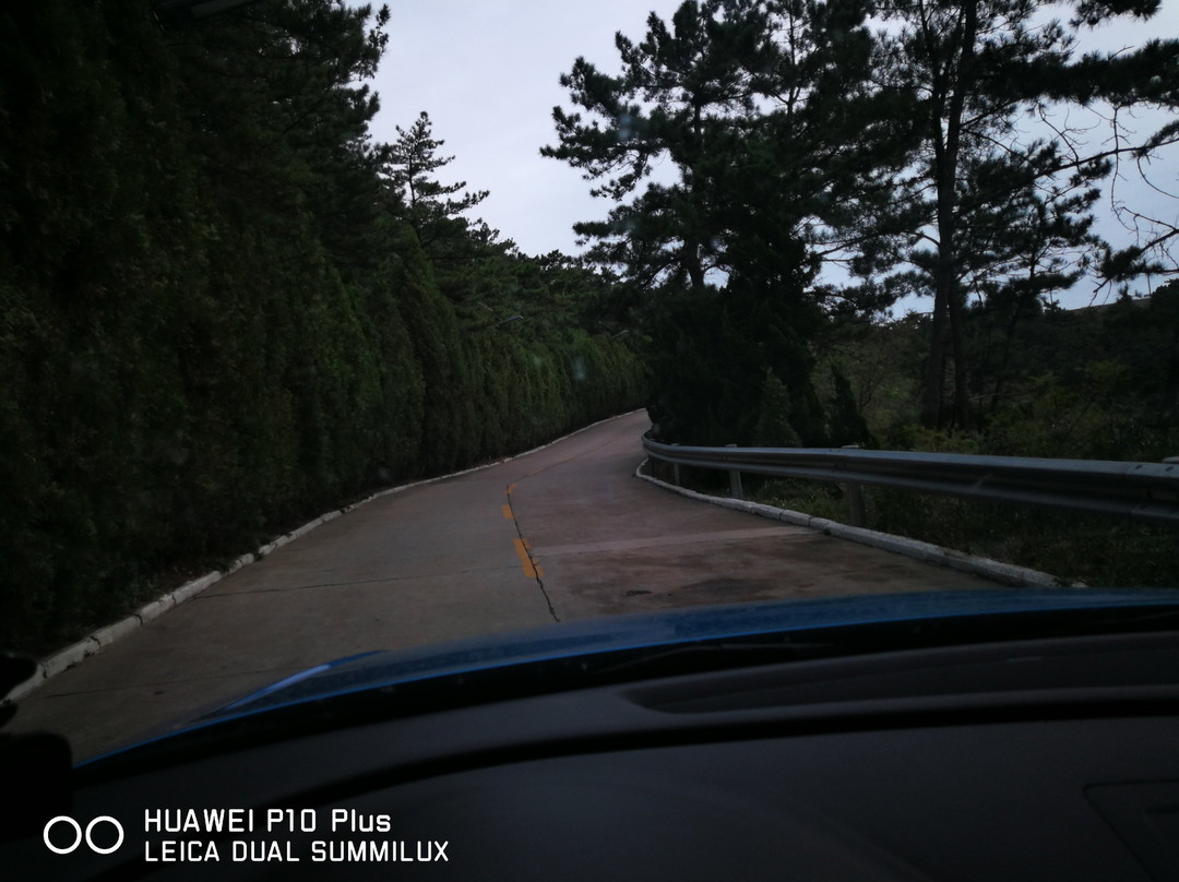 长岛林海公园-长岛县必去景点