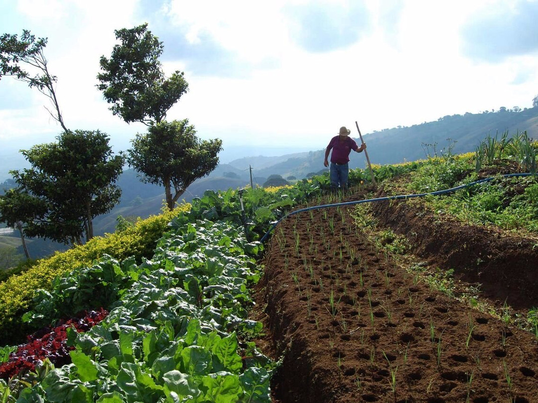 Finca Orgánica Tierra de Suenos景点图片
